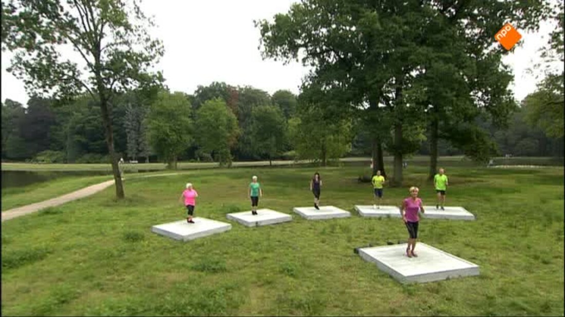 Nederland in Beweging